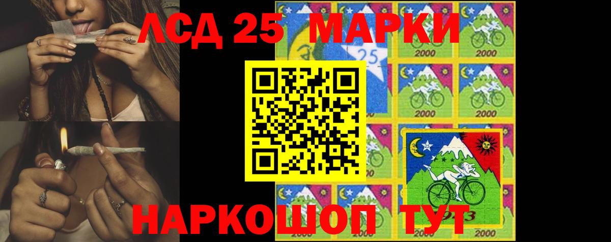 Бошки Шишки Гатчина