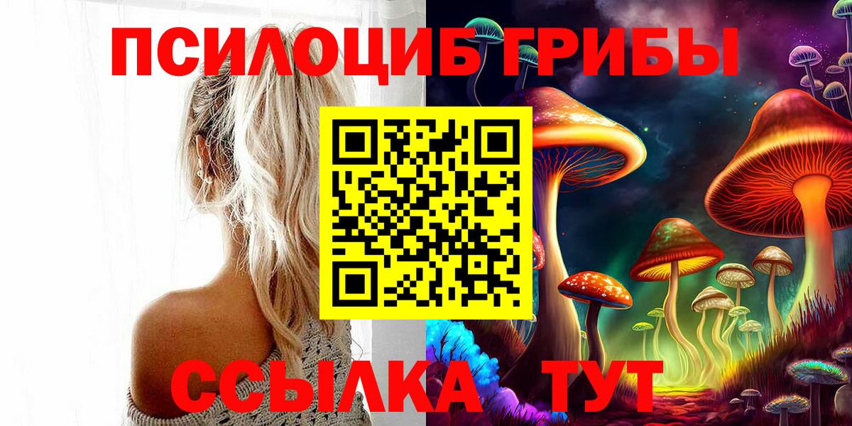 Псилоцибиновые грибы Psilocybine cubensis  Вход с VPN  Гатчина 