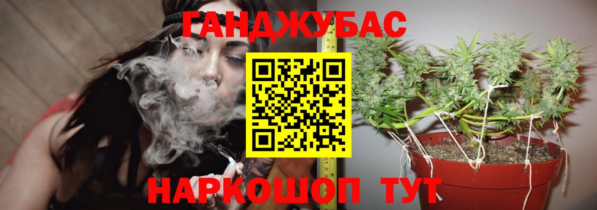 Бошки марихуана индика  Бошки Шишки AK-47  Вход с VPN  Бошки Шишки White Widow  Бошки марихуана индика  Гатчина 